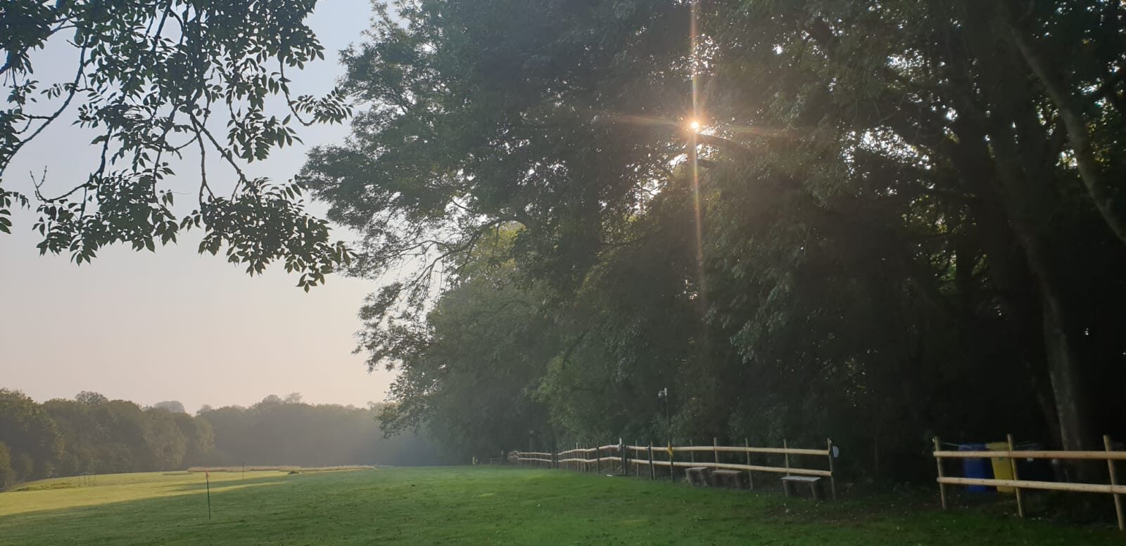 Early morning sun breaking through the trees along the field's fenced boundary