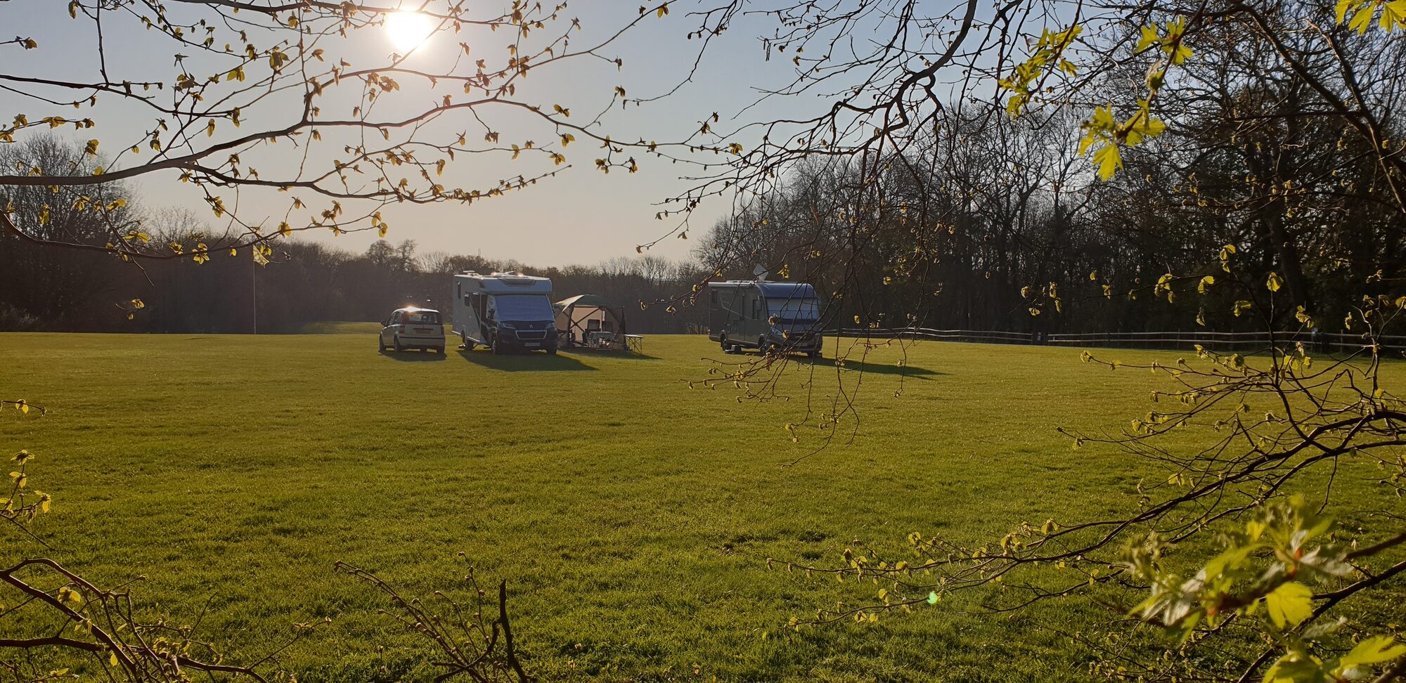Motorhomes pitched on the field at Woodside Field in low evening sun