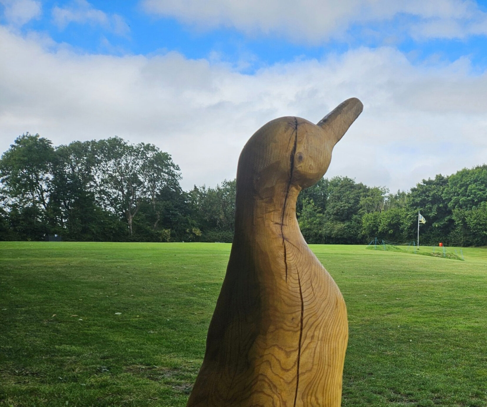 The carved wooden duck sculpture standing over the green field on a bright day